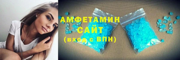 ГАЛЛЮЦИНОГЕННЫЕ ГРИБЫ Гусев