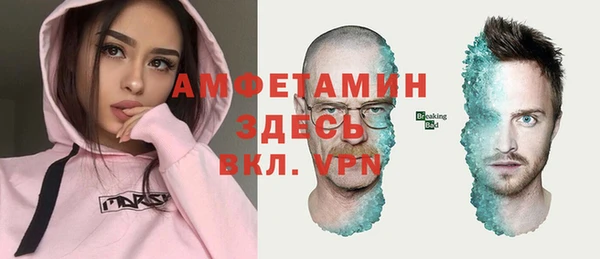 ГАЛЛЮЦИНОГЕННЫЕ ГРИБЫ Гусев