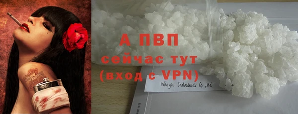 ГАЛЛЮЦИНОГЕННЫЕ ГРИБЫ Гусев
