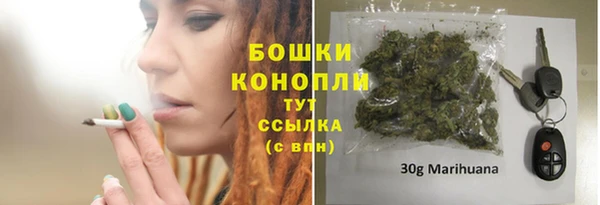 ГАЛЛЮЦИНОГЕННЫЕ ГРИБЫ Гусев