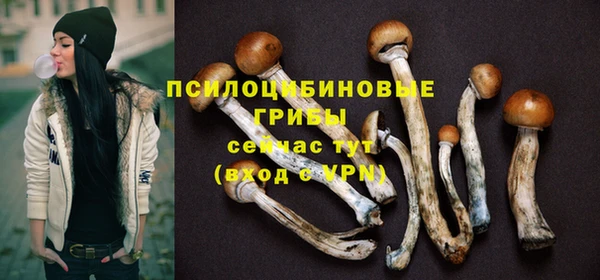 ГАЛЛЮЦИНОГЕННЫЕ ГРИБЫ Гусев