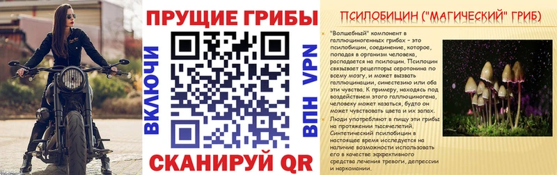 Галлюциногенные грибы мухоморы  Купить закладки  Кадников 